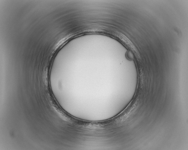 X0000114510842200911161253