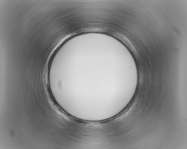 X0000114510844200911161253