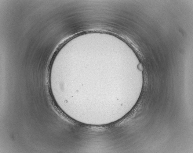 X0000114510848200911161253