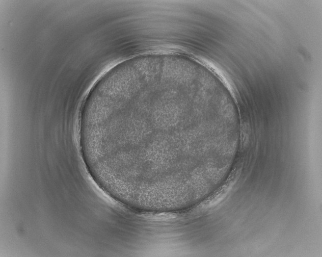 X0000114510851200911161253