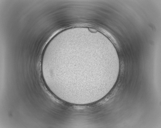 X0000114510852200911161253