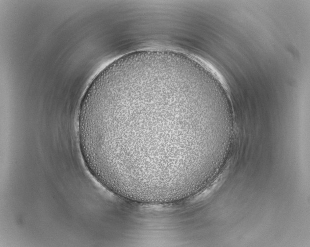 X0000114510855200911161254