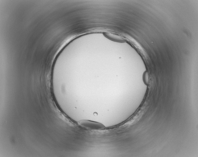 X0000114510860200911161254