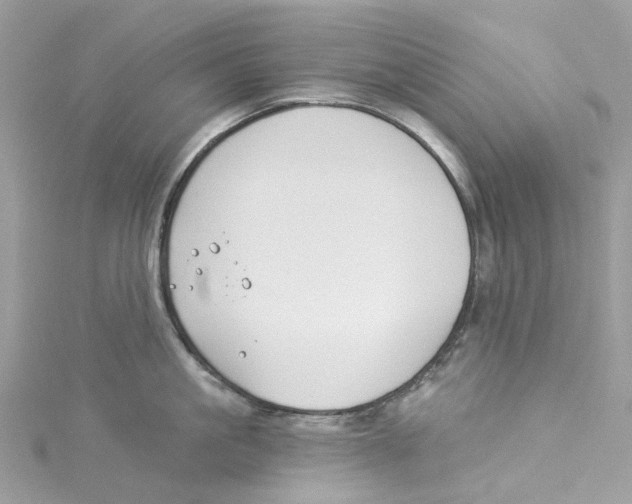 X0000114510861200911161254