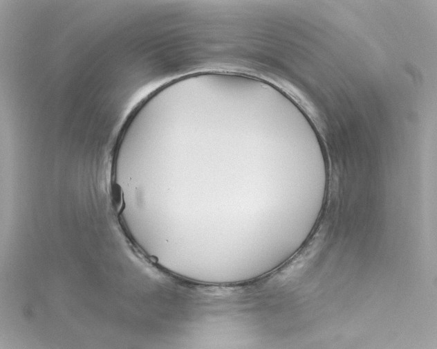 X0000114510862200911161254