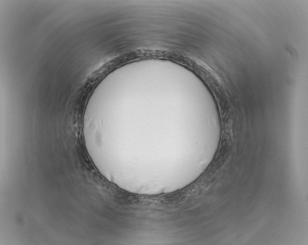 X0000114510870200911161253