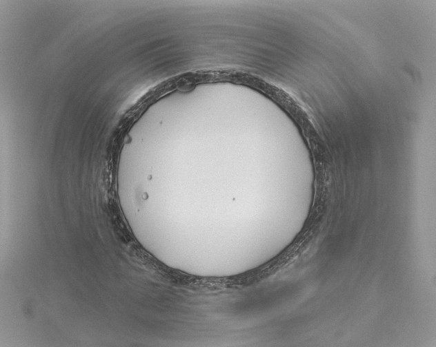 X0000114510871200911161253