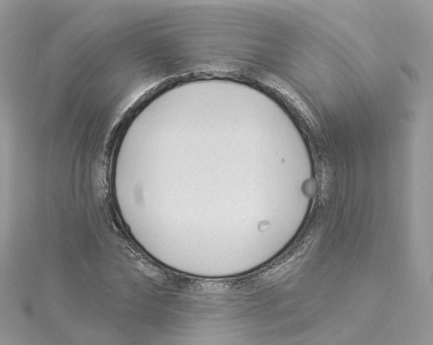 X0000114510878200911161253