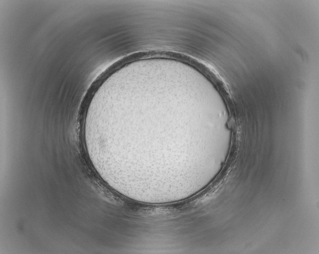 X0000114510879200911161253