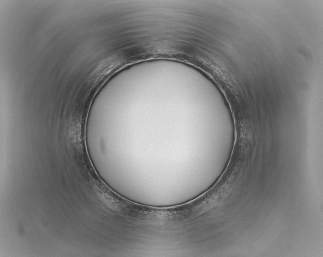 X0000114510881200911161253