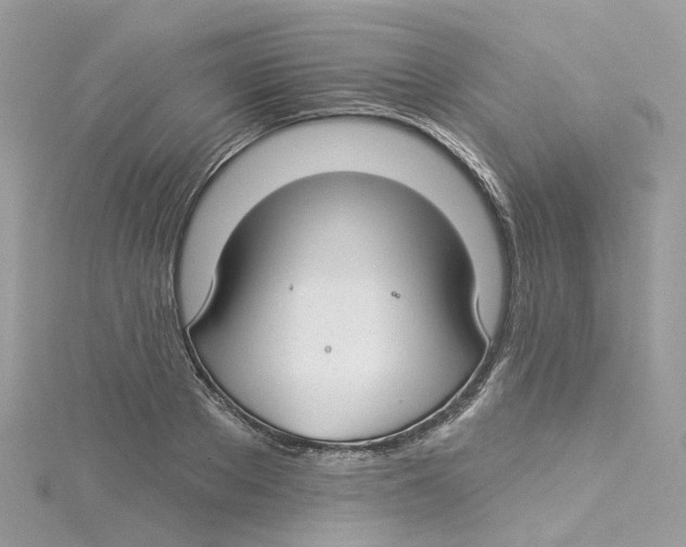 X0000114510889200911161253