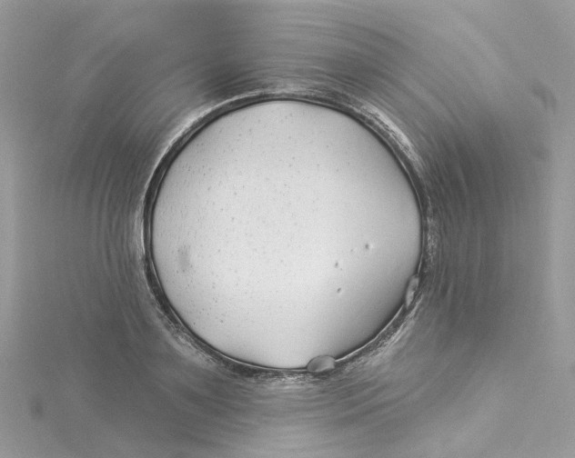 X0000114510891200911161253