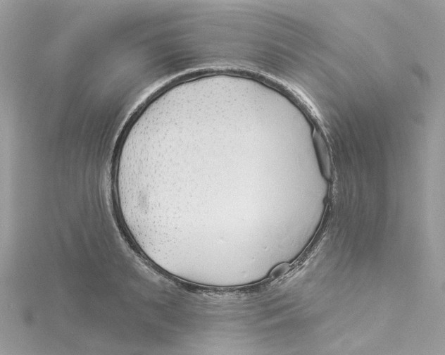 X0000114510895200911161253