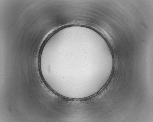 X0000114510896200911161253