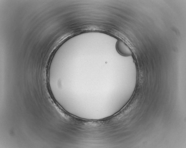 X0000114510898200911161253