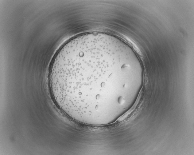 X0000114510899200911161253