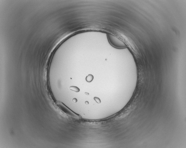 X0000114510900200911161253