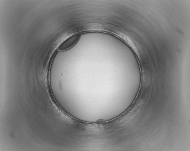 X0000114510901200911161253