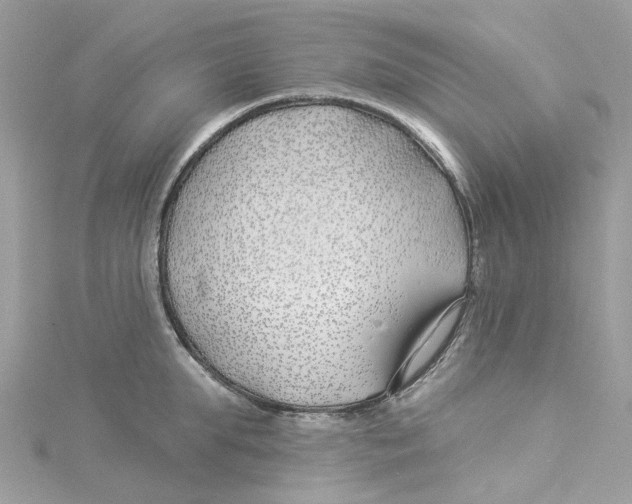 X0000114510903200911161253