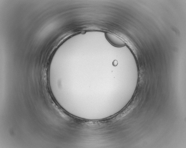 X0000114510906200911161252