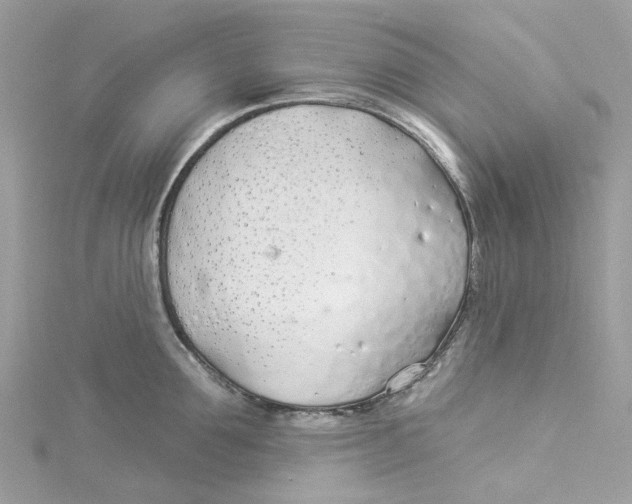 X0000114510907200911161252