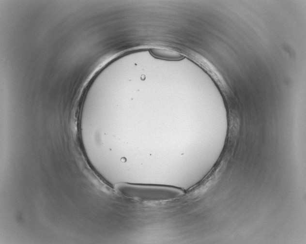 X0000114510908200911161252