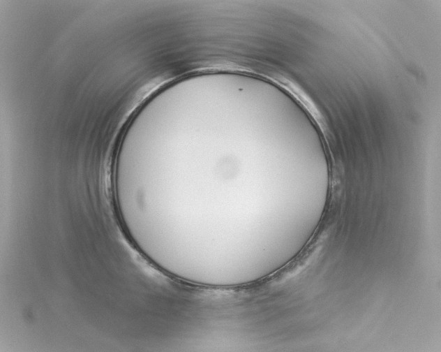 X0000114510909200911161252