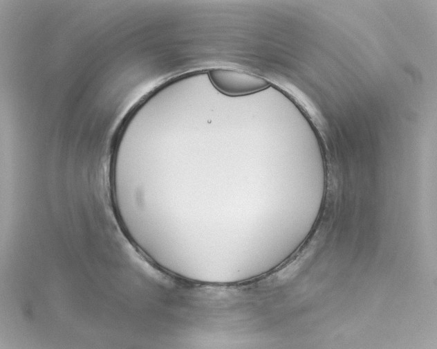 X0000114510910200911161252