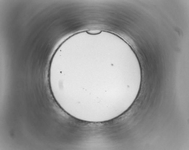 X0000114510912200911161252