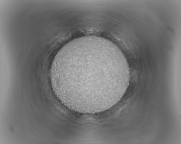 X0000114510913200911161252