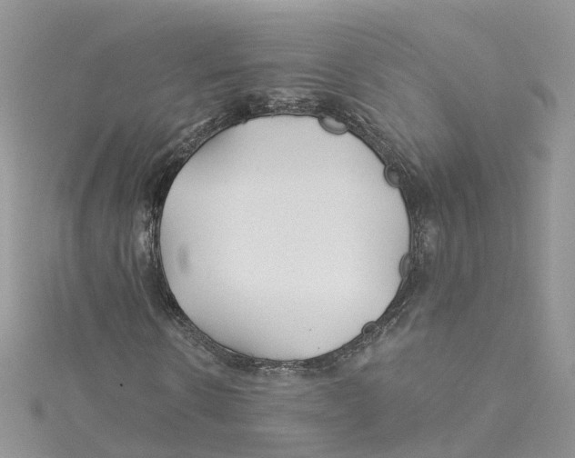 X0000114510914200911161252