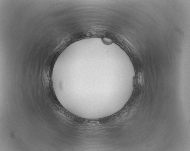 X0000114510915200911161252