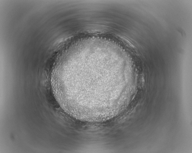 X0000114510917200911161252