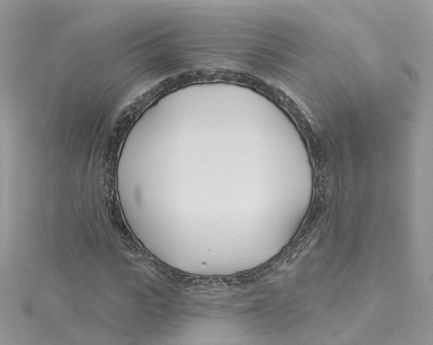 X0000114510919200911161252