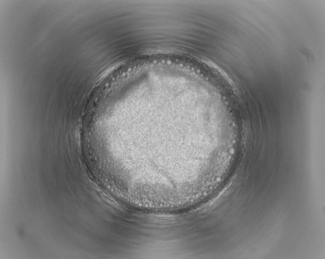 X0000114510921200911161252