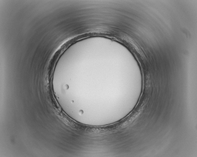 X0000114510923200911161252