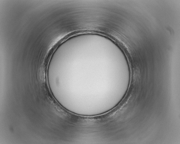 X0000114510925200911161252