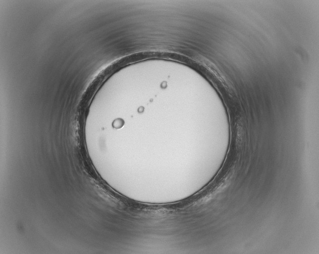 X0000114510926200911161252