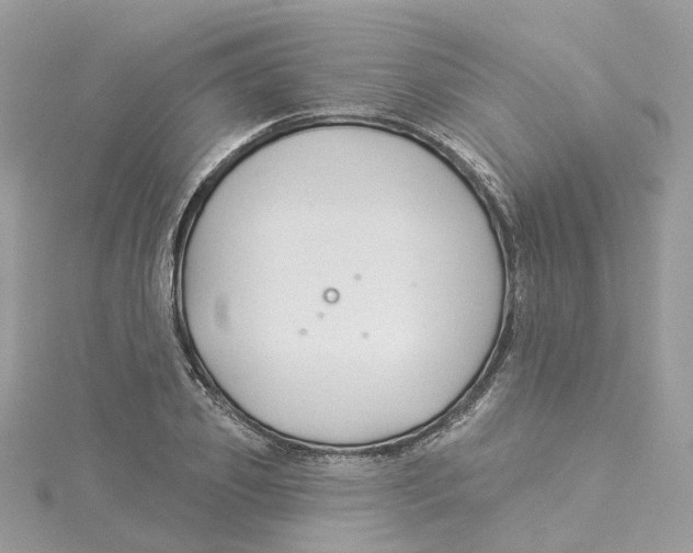 X0000114510933200911161252