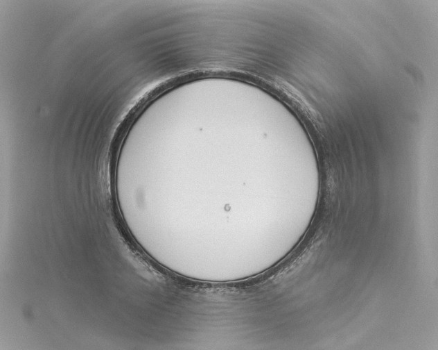 X0000114510934200911161252