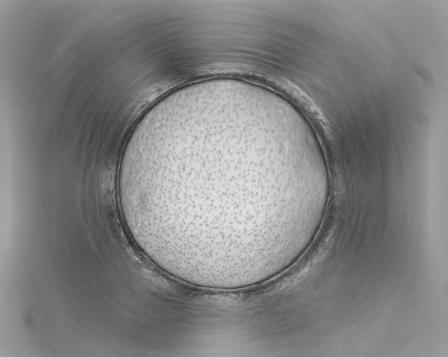 X0000114510937200911161252