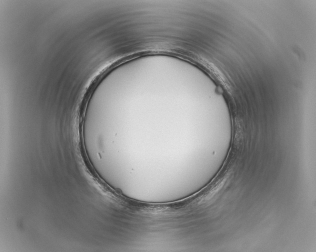 X0000114510939200911161252