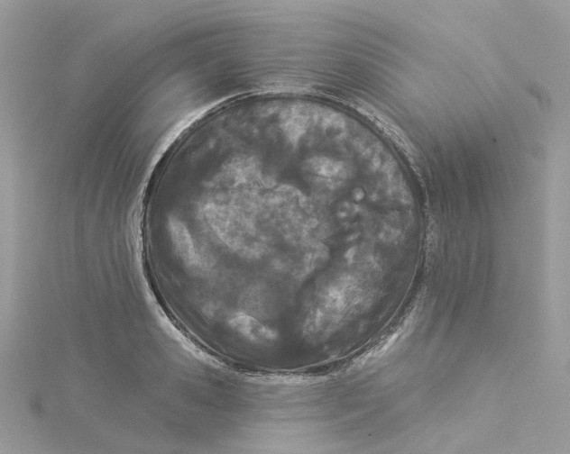 X0000114510941200911161252