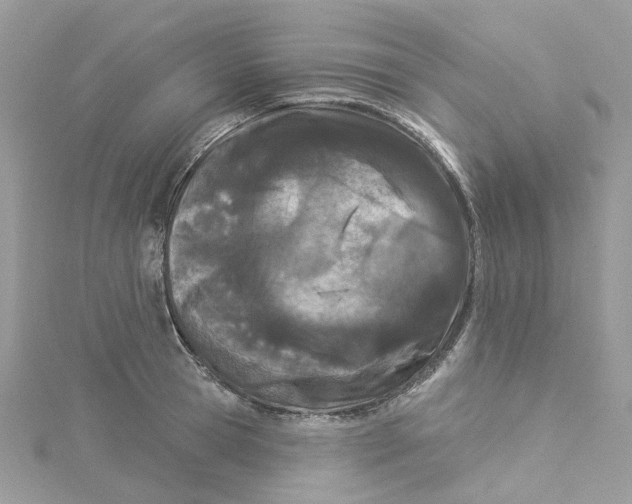 X0000114510945200911161252