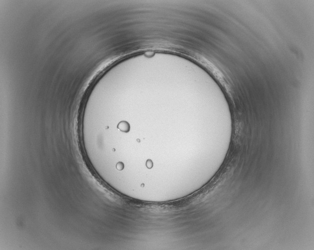 X0000114510947200911161252