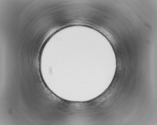 X0000114510950200911161252