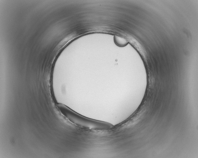 X0000114510954200911161252