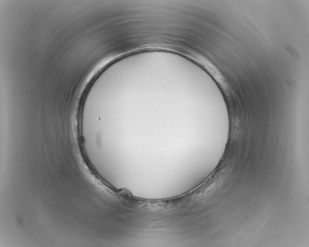 X0000114510955200911161252