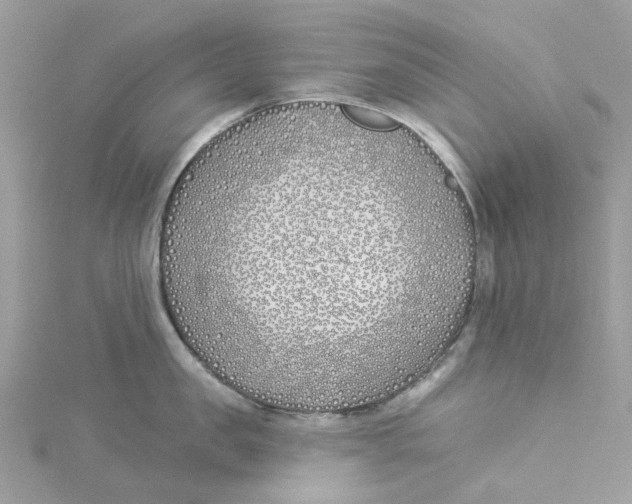 X0000114510957200911161252