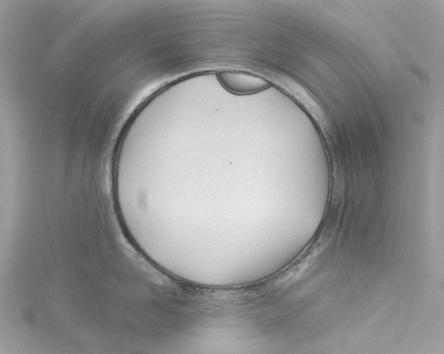 X0000114510958200911161252